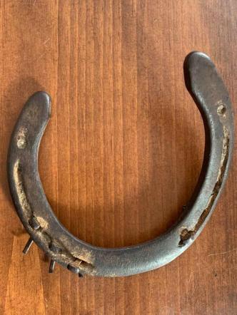 83979560_10158096950158799_7184622452389969920_n